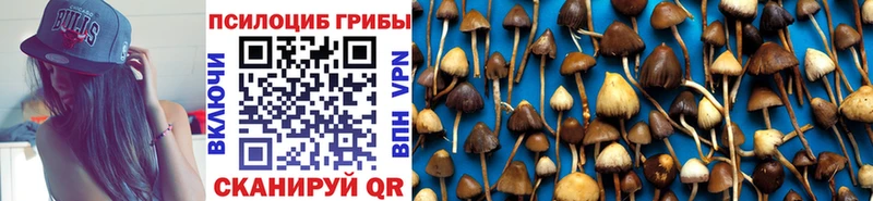 Галлюциногенные грибы ЛСД  где купить   Санкт-Петербург 
